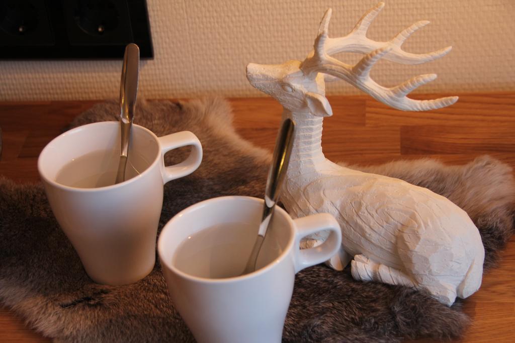 Hotel Aakenus Rovaniemi Ngoại thất bức ảnh